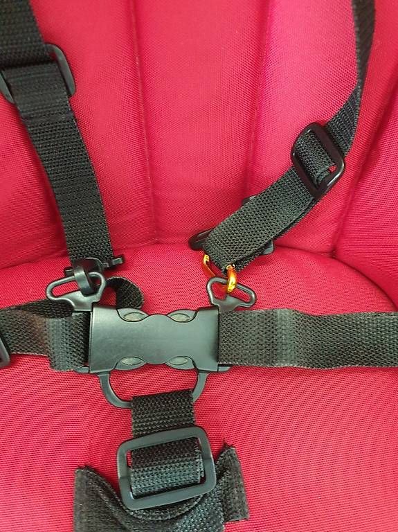 Carrozzine: Kinderwagen Bugaboo Frog Rot – Usato da Zürich venduto da sho_g8sf 2