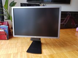 HP Monitor