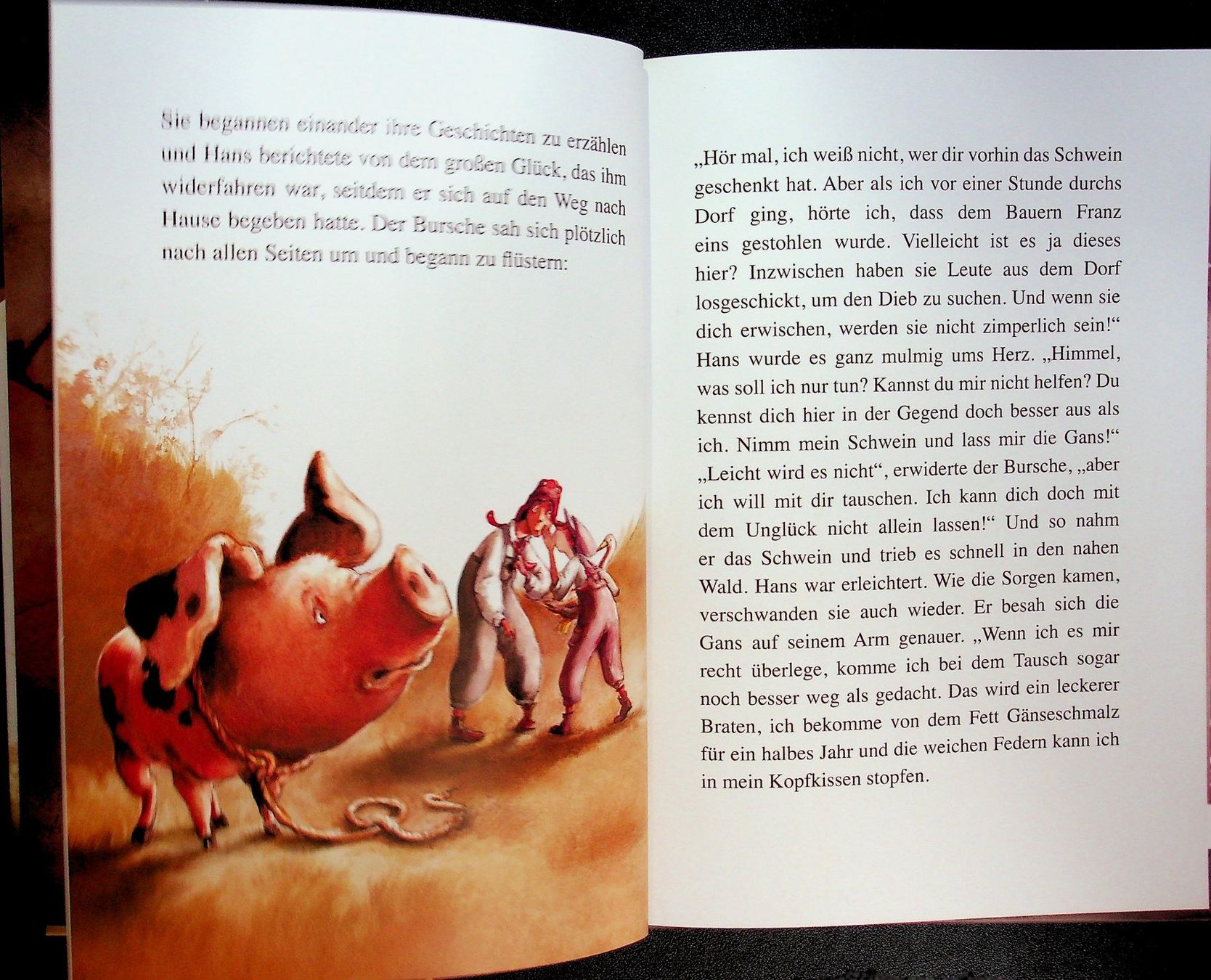 Libri: Petra Probst Die schönsten Märchen der Brüder Grimm – Usato da Reitnau venduto da Zaomir 8