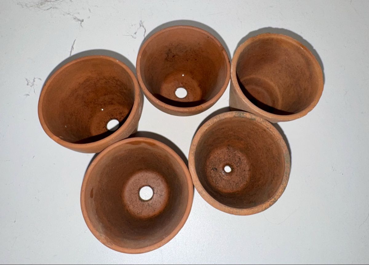 Vasi per fiori: 5x Mini Terrakotta Blumentöpfe DM 6cm – Usato da Zürich venduto da jul_l6kx 1