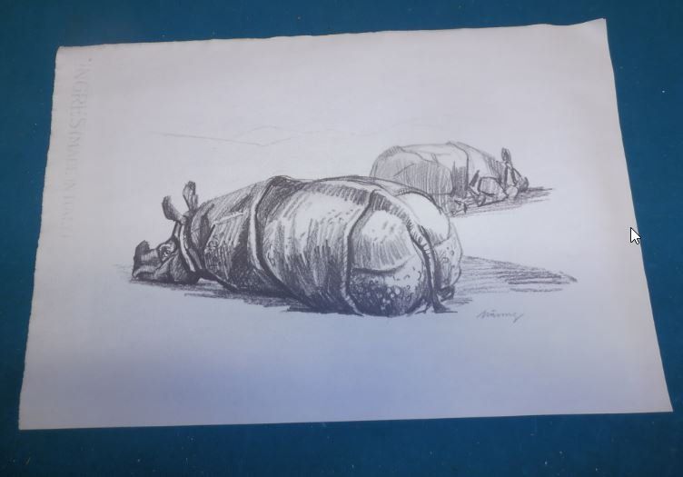 Grafica & Litografie: Tierskizzen 16 Stück – Usato da Liestal venduto da Gecko16 1