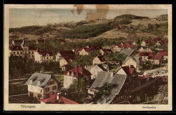 Cartoline postali: AK Triengen, Ortspartie – Usato da Berlin venduto da bartko-reher