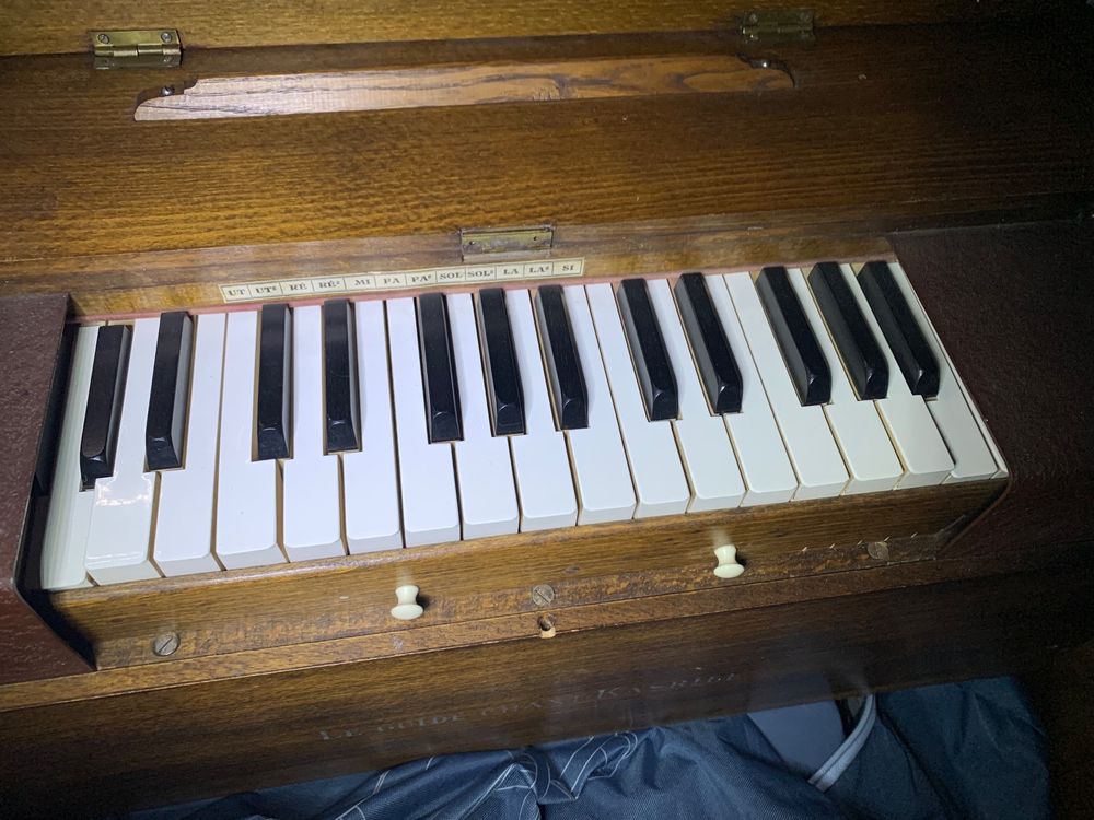 Antike Harmonium Le Guide Chant Kasriel Acheter sur Ricardo