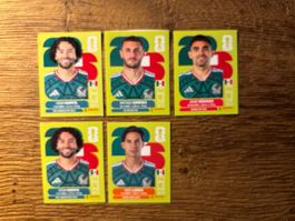 Panini W26 Mexico (3, 8, 16, 20, 20)