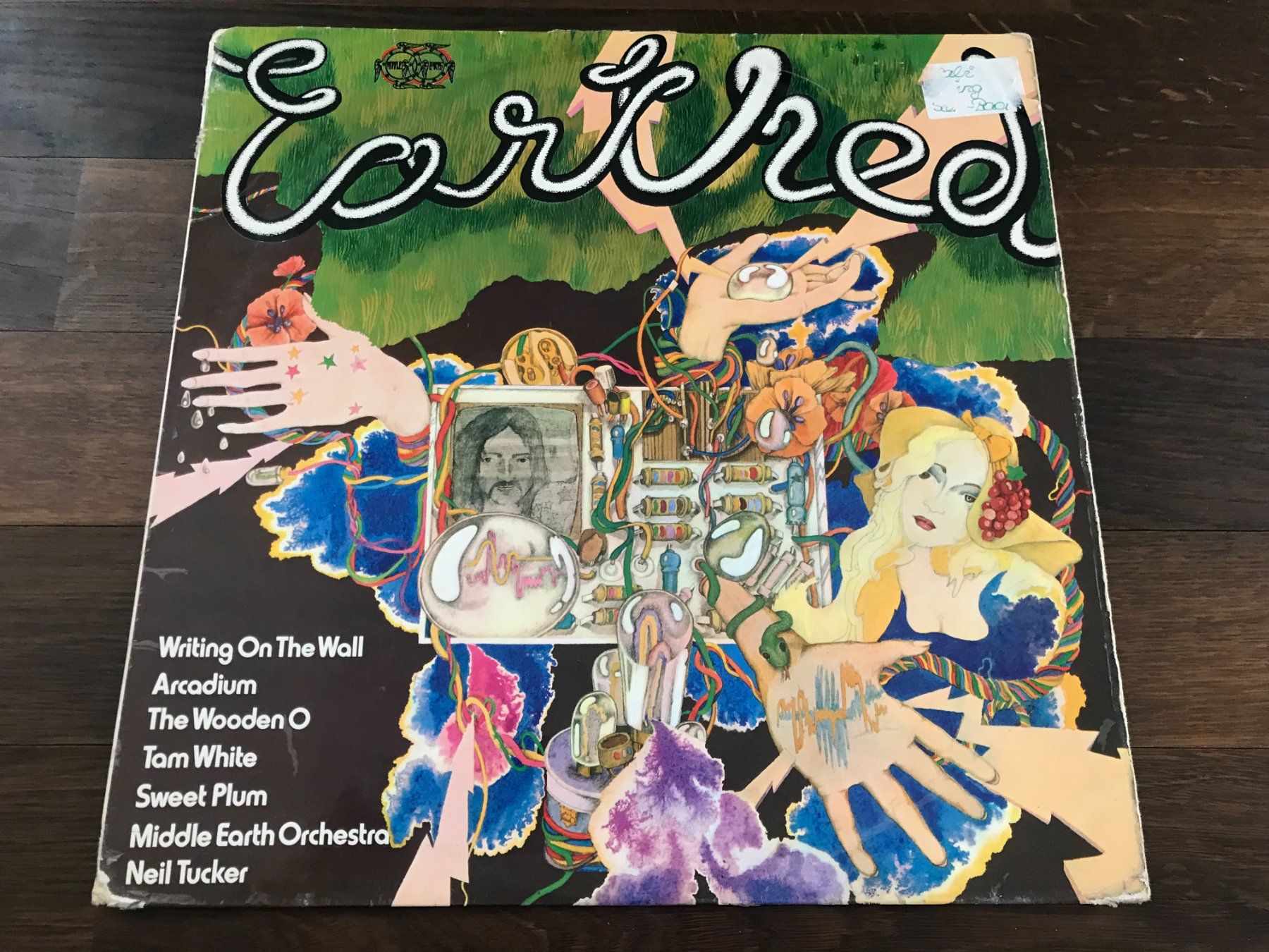 Dischi in vinile: EARTHED - ARCADIUM + Writing On The Wall + Tom White - Prog – Usato da Buchs AG venduto da Archie
