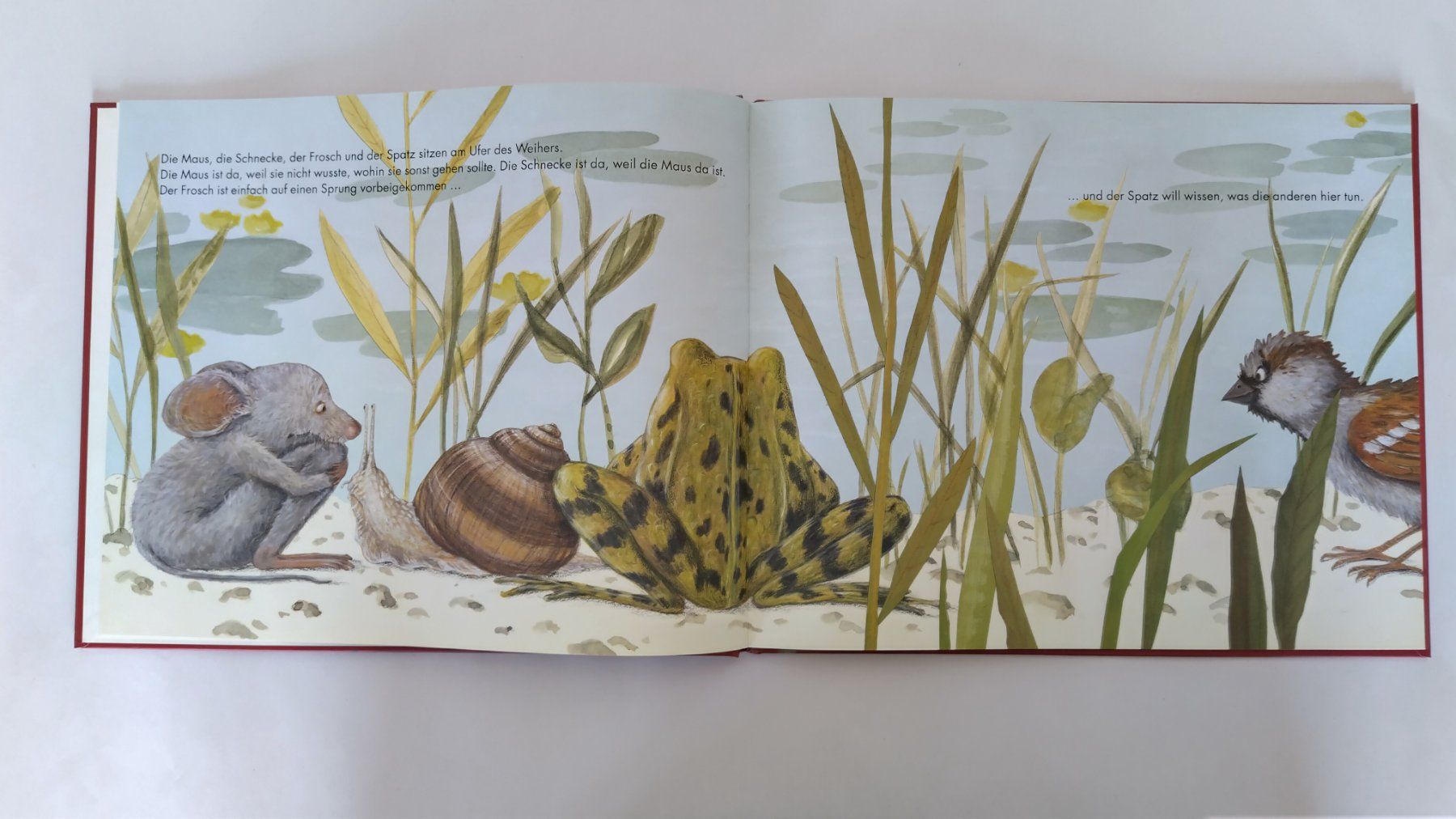 Bücher: Mutig, mutig / Bilderbuch Lorenz Pauli - Kathrin Schärer – Gebraucht aus Bellach von JingleJerry 8