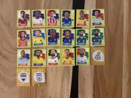 Panini WM 2026 diverse Sticker