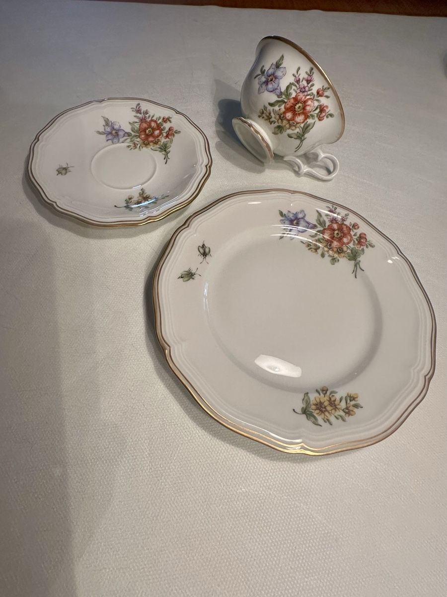 Rosenthal Set di piatti: 12er Set  Rosenthal Chippendale Kaffeeservice, Top! – Nuovo (secondo la descrizione) da Zuzwil BE venduto da BulkBox 8