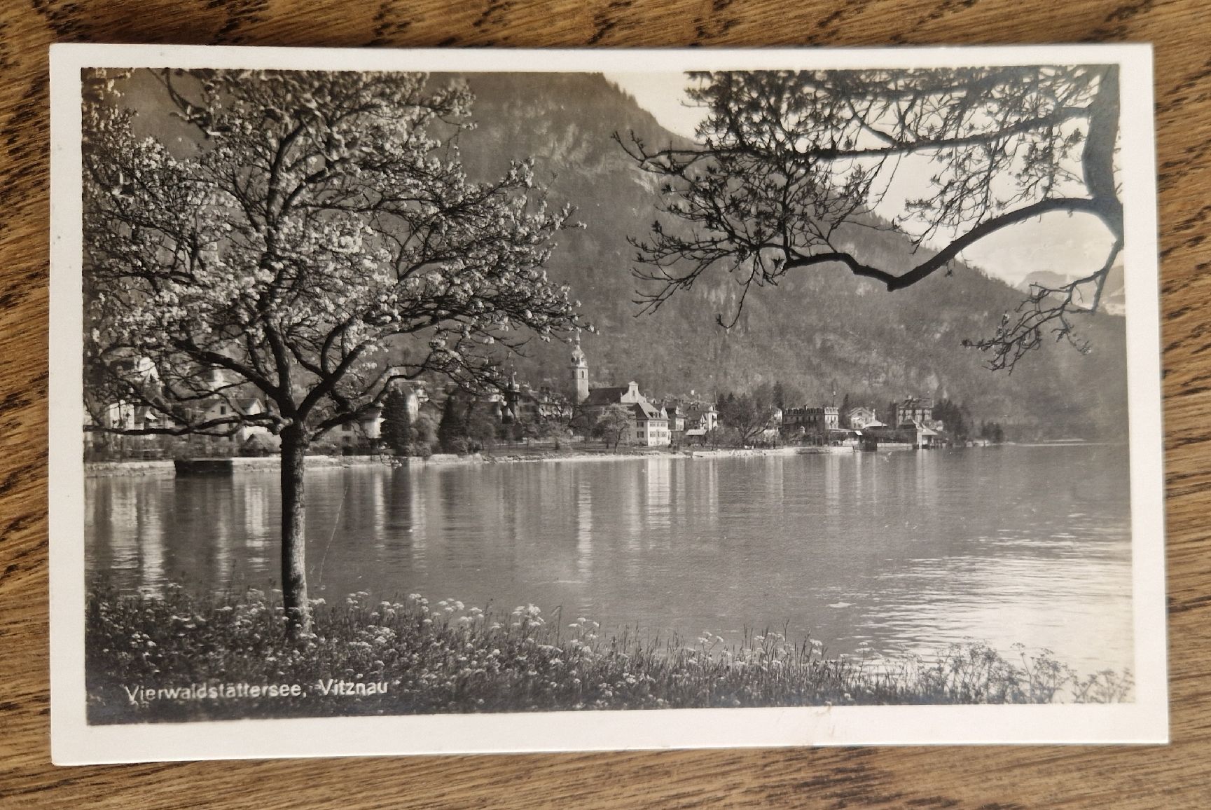 Cartoline postali: Vierwaldstättersee, Vitznau 1923 – Usato da Ebikon venduto da Donar50