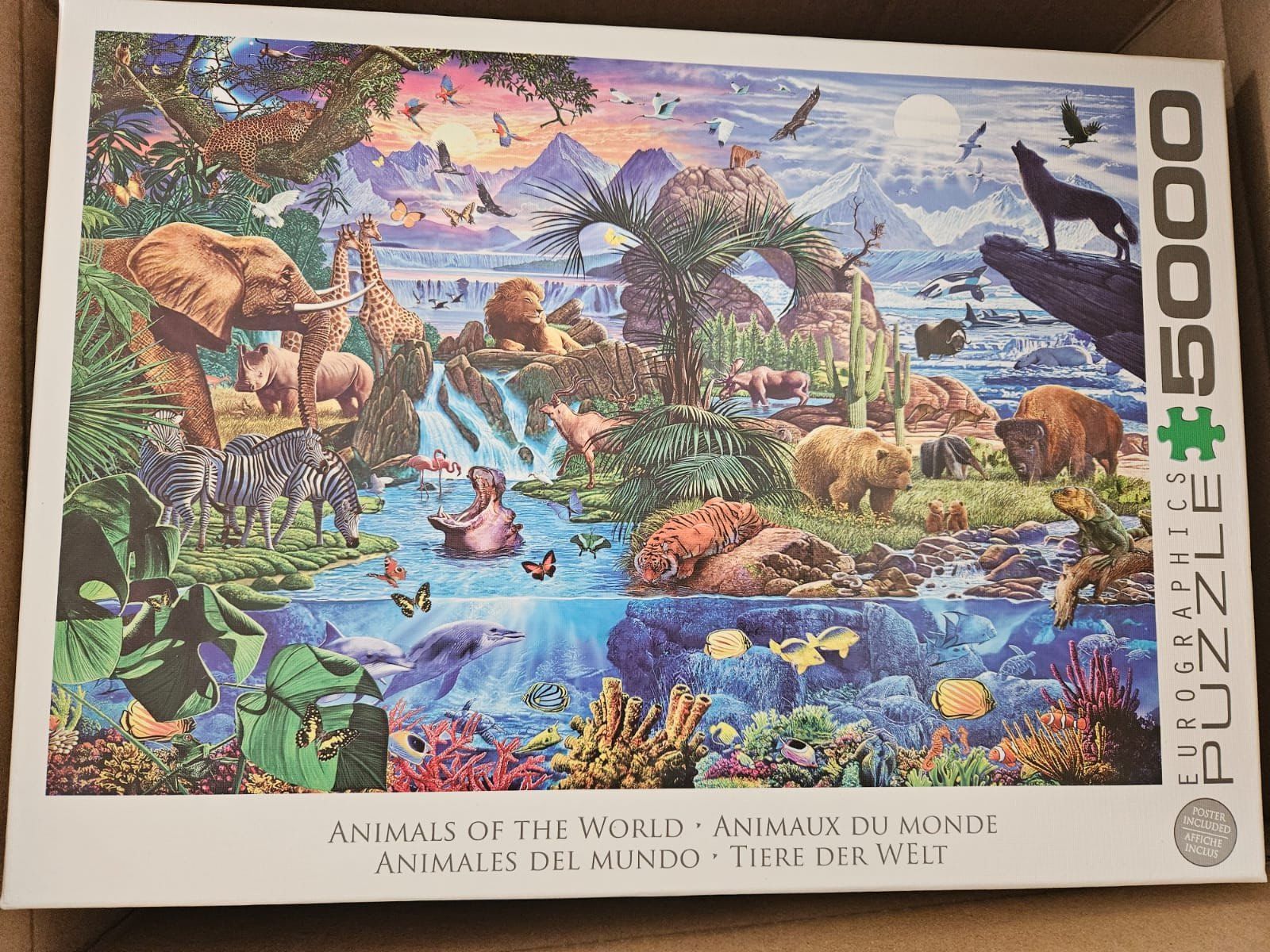 Puzzle: Puzzle 5000 – Usato da Erlinsbach venduto da LindaK0102