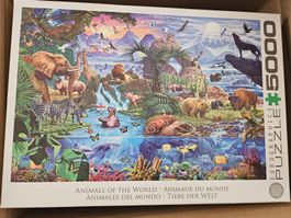 Puzzle 5000