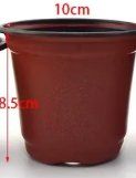 Vasi per fiori: 50x Pflanztopf Anzuchttopf 10cm – Nuovo e nell'imballaggio originale da Dintikon venduto da Prime-shop 2
