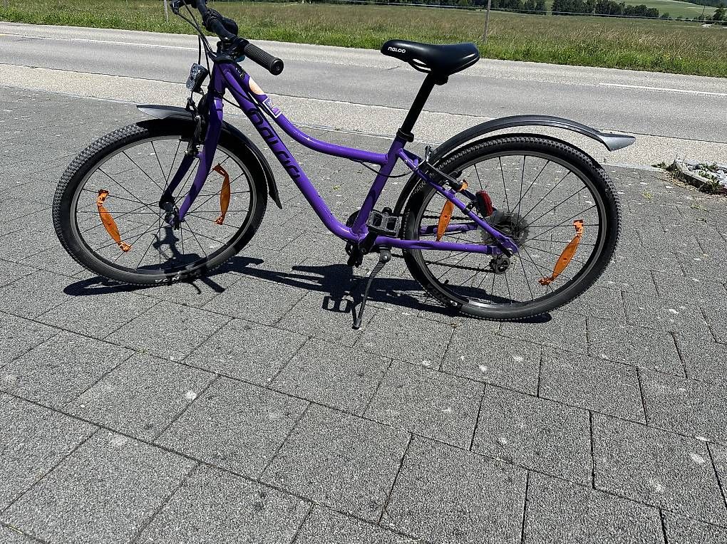 Velos: Kindervelo NALOO 24 Zoll - Chameleon – Gebraucht aus Brügglen von Mim1 4