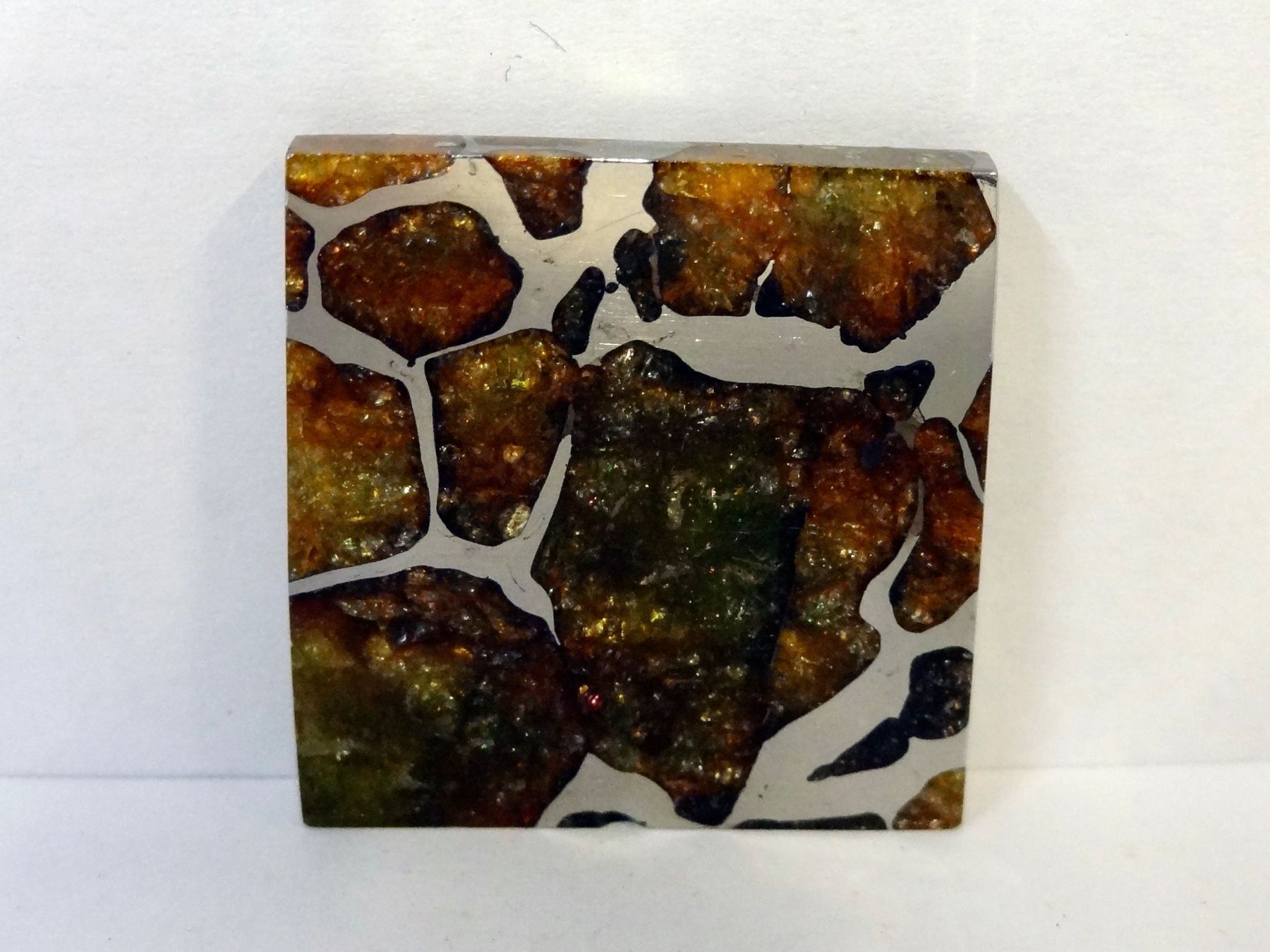 Minéraux & Lithothérapie: Meteorit PALLASIT Eisen-Stein-Meteorit IMILAC CHILE – Neuf (Voir description) à Kerzers par djstarsky73 7