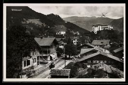 Wilderswil, Ortsansicht mit Häusern und