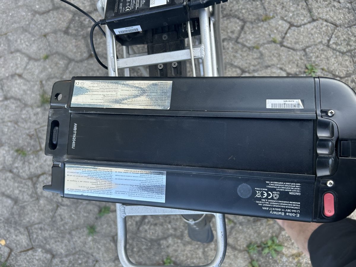 Biciclette: E Damen bike – Usato da Rickenbach LU venduto da Brutus05 3