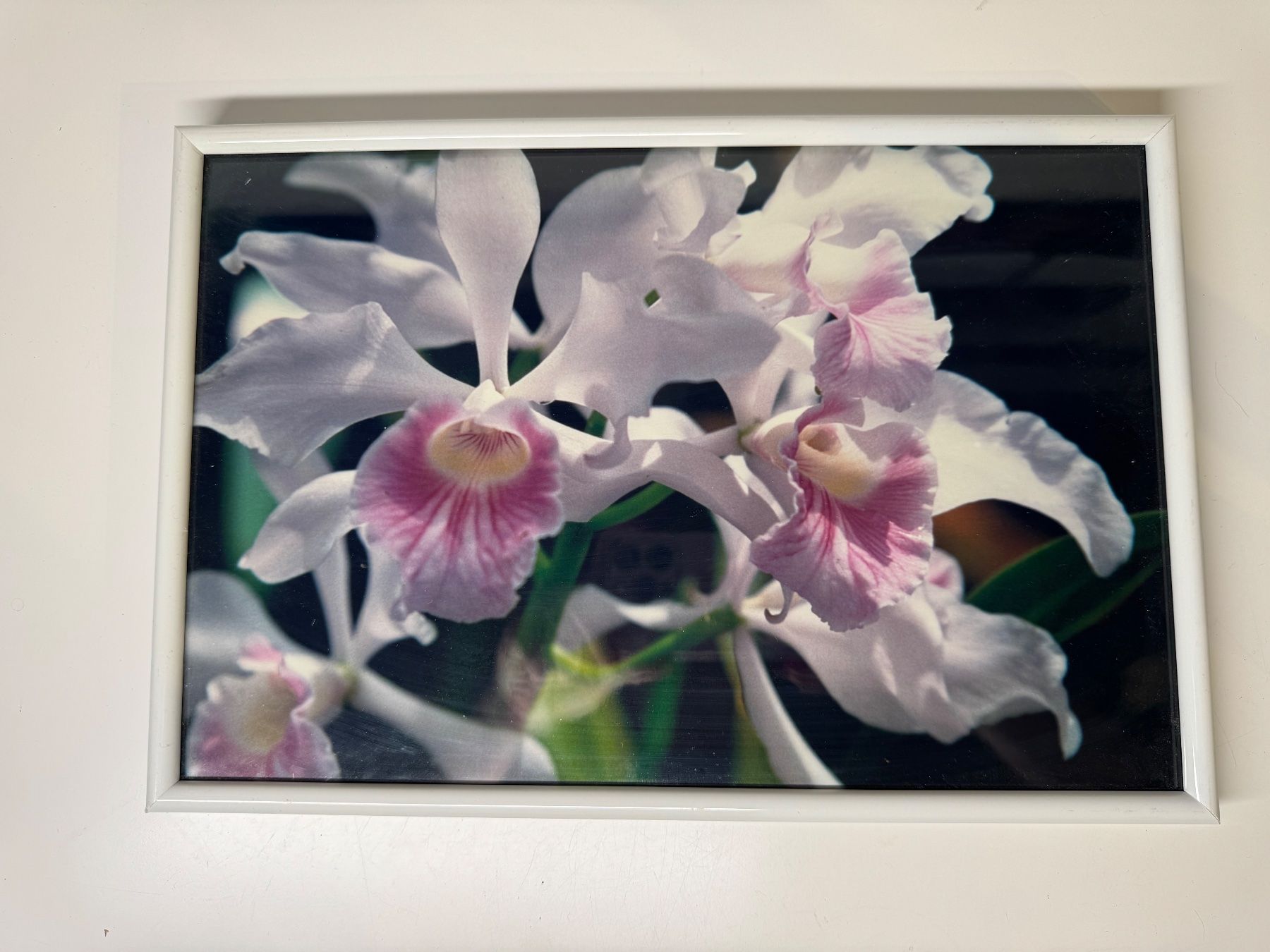Cornici: Weisser Bilderrahmen mit Orchideenbild 20x31cm – Usato da Grosswangen venduto da Second_hand_paradise 1