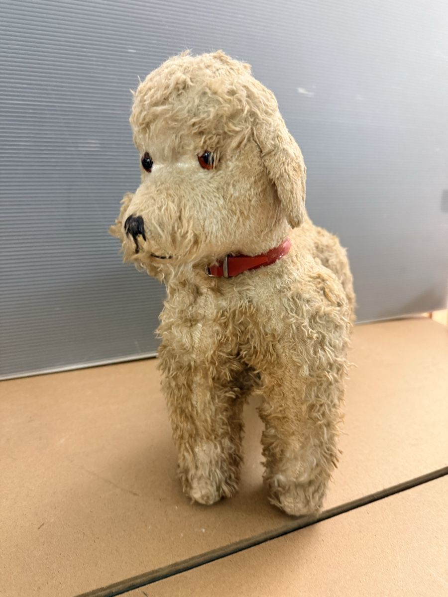 Giocattoli: Alter Plüschhund – Usato da Solothurn venduto da NUVICO 1