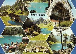 Berggasthaus SEEALPSEE Appenzell, Altmann, Wildkirchli, Kühe