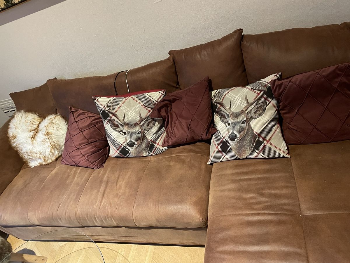Divani: Kunststoff Sofa – Usato da Trimmis venduto da tartarughi1
