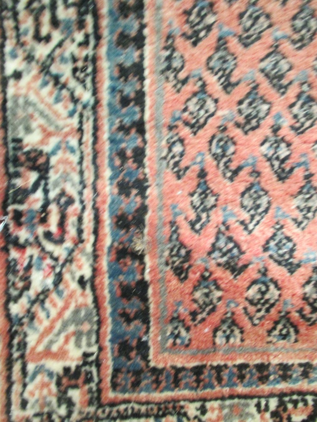 Tappeti: TEPPICH 98 X 98 CM – Usato da Zumikon venduto da Gung 1