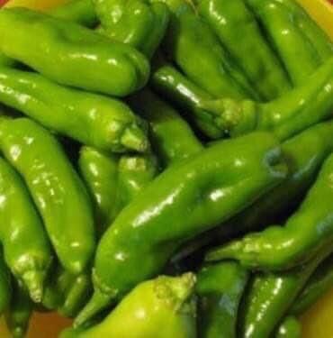 Pflanzen & Samen: 50 SAMEN Paprika FRIGITELLO Piment doux vert – Neu und originalverpackt aus Rovio von POSITIFFARTandPLANTS 3
