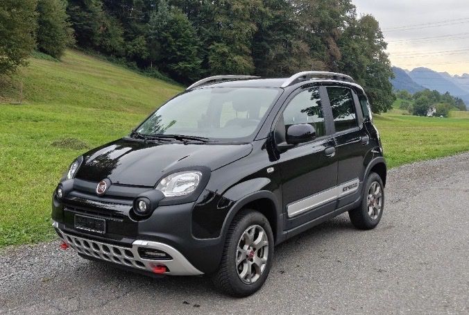 Fiat Automobili: Fiat Panda Cross 4x4 – Usato da Au SG venduto da ben_9kp2