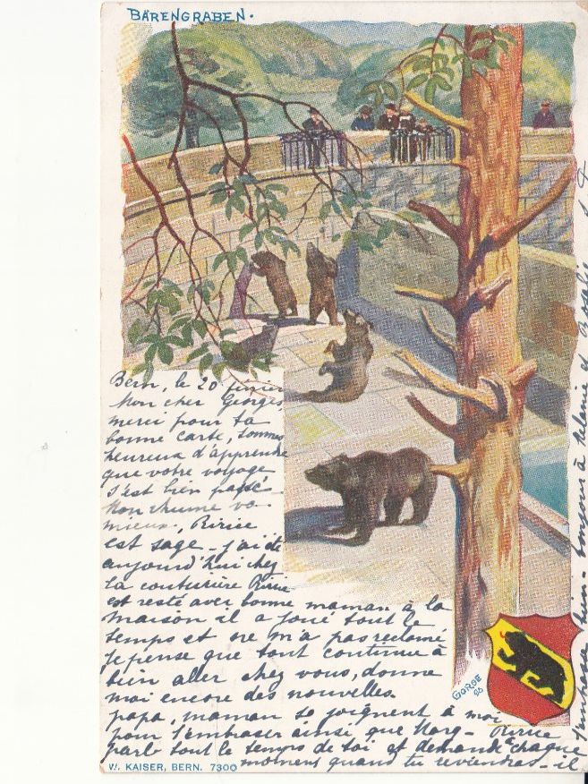 Cartoline postali: Bern Bärengraben 1901 – Usato da Bürglen TG venduto da StampGraf