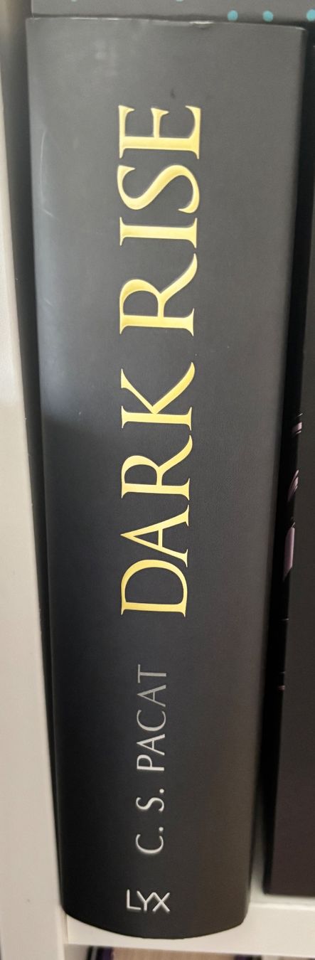 Libri: Dark Rise – Usato da Dübendorf venduto da van_8l6t 1
