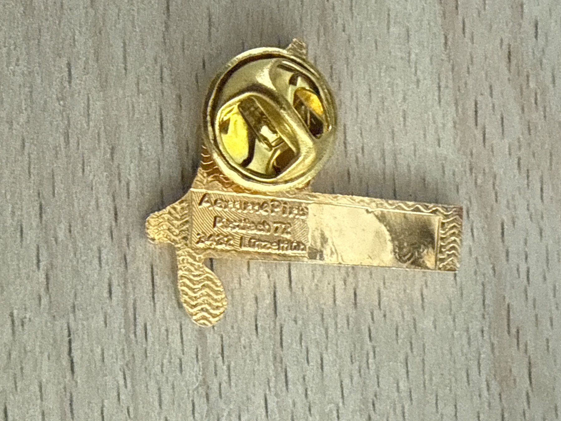 Placchette & Badge: Pin Schlosschörli Heidegg – Usato da Glattbrugg venduto da Schweigmatt 1