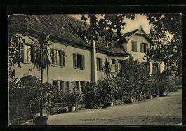 Frauenfeld, Kuranstalt Mammern mit Pflan