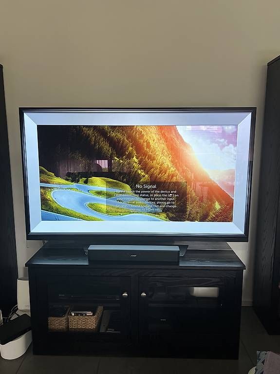 Televisori: LG Oled TV – Usato da Rüschlikon venduto da CourtneyM