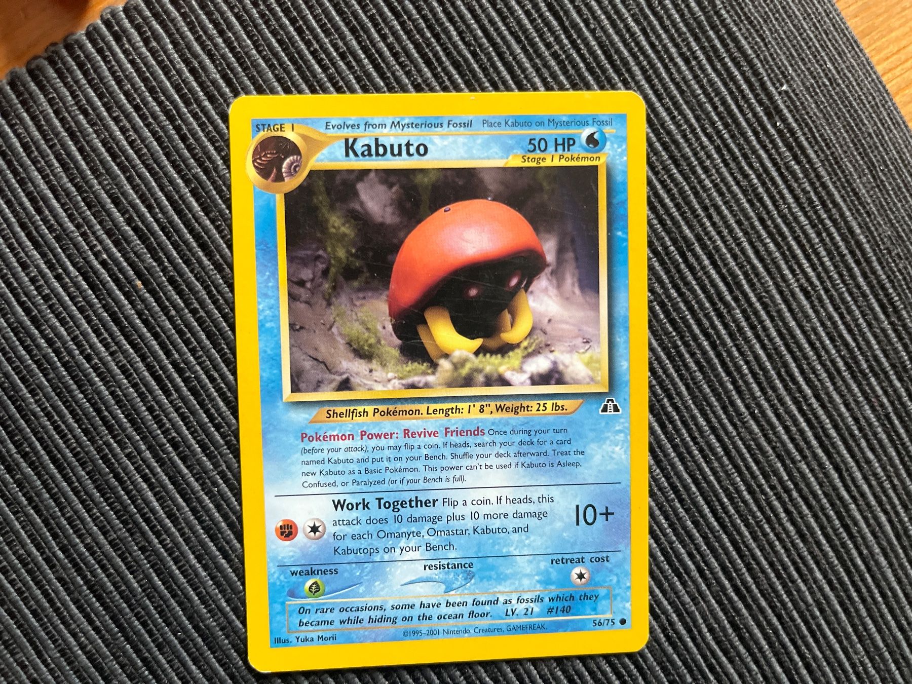 Pokémon Carte collezionabili: Pokemon Kabuto non Holo Neo Discovery – Usato da Wabern venduto da Collectfun