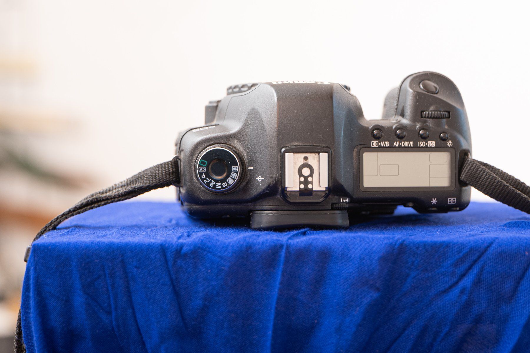 Canon Kamera: DSLR Canon EOS 5D Mark II – Gebraucht aus Beromünster von foto-x 3