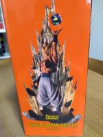 Dragonball Z: Fusion Reborn - Gogeta (SSJ)