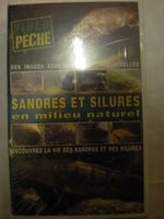 Sandres et silures en milieu naturel