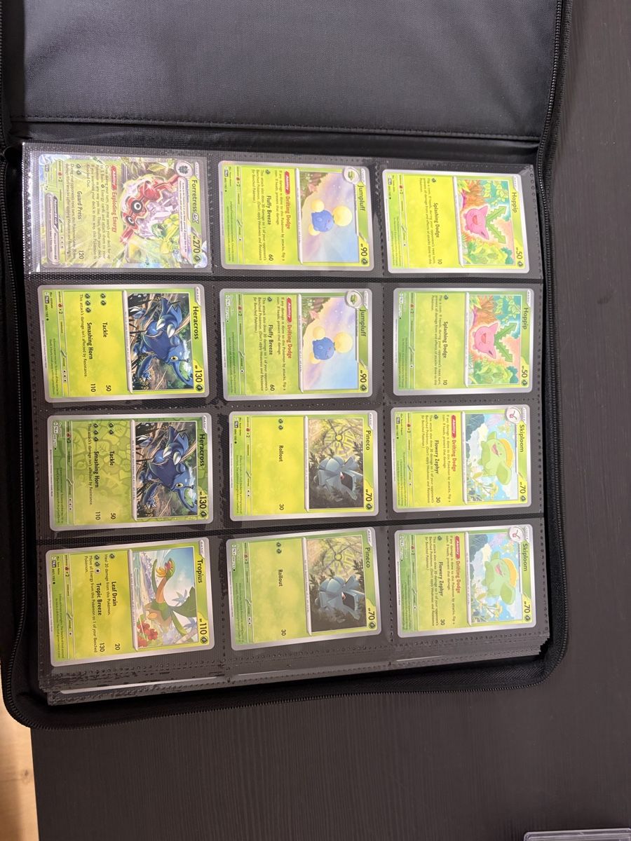 Pokémon Carte collezionabili: Paldea Evolved Master set INk – Usato da Müllheim Dorf venduto da Lors.Toys