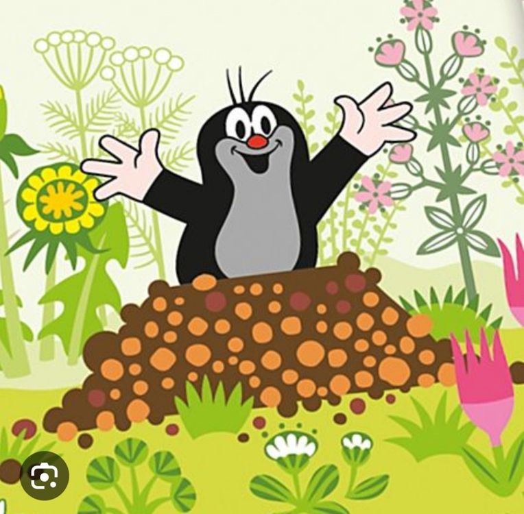 Handpuppe Maulwurf "Krtek" Plüsch 26 cm hoch Kaufen auf Ricardo