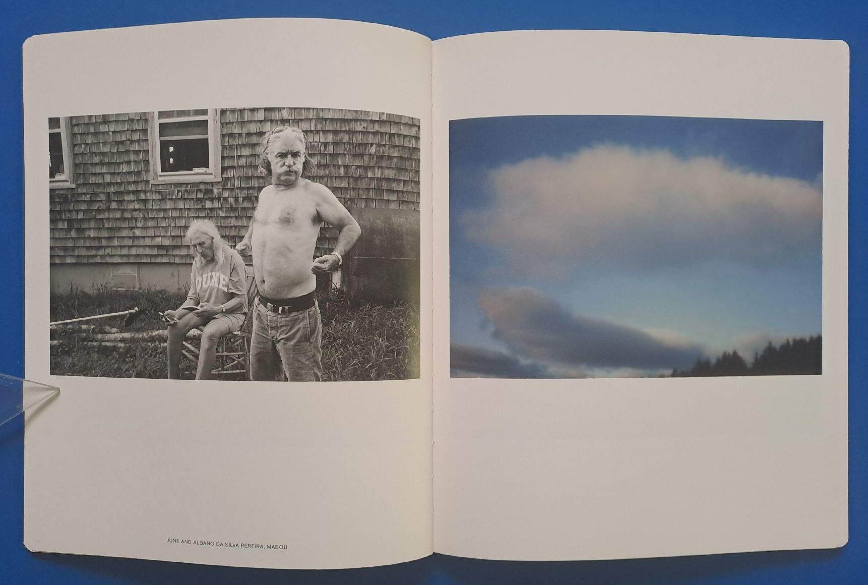 Libri: Robert Frank: YOU WOULD EA 2012 Steidl Top erhalten.  – Usato da Zürich venduto da archiphil 4
