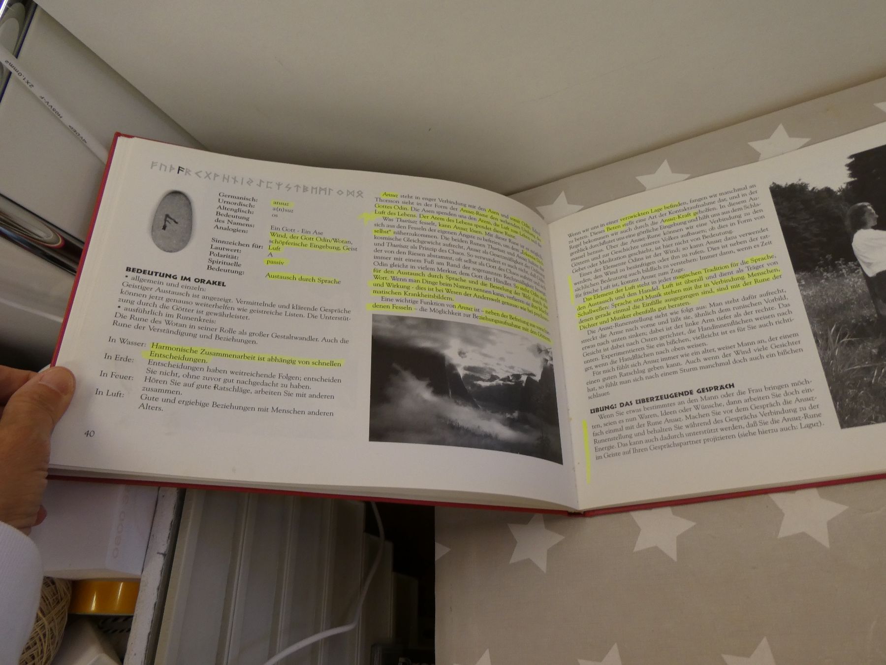 Bücher: Buch: Runen - Welten Igor Warneck – Gebraucht aus Rafz von Powacaddy 7