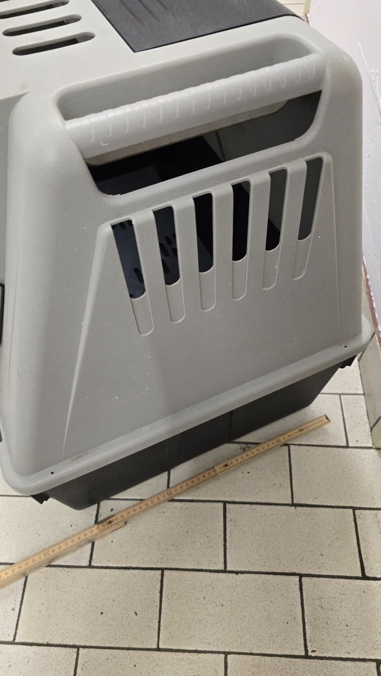 Ferplast Gabbie, trasporto & Sicurezza: Gabbia Box Auto Trasporto Cane – Usato da Agno venduto da giubat 3