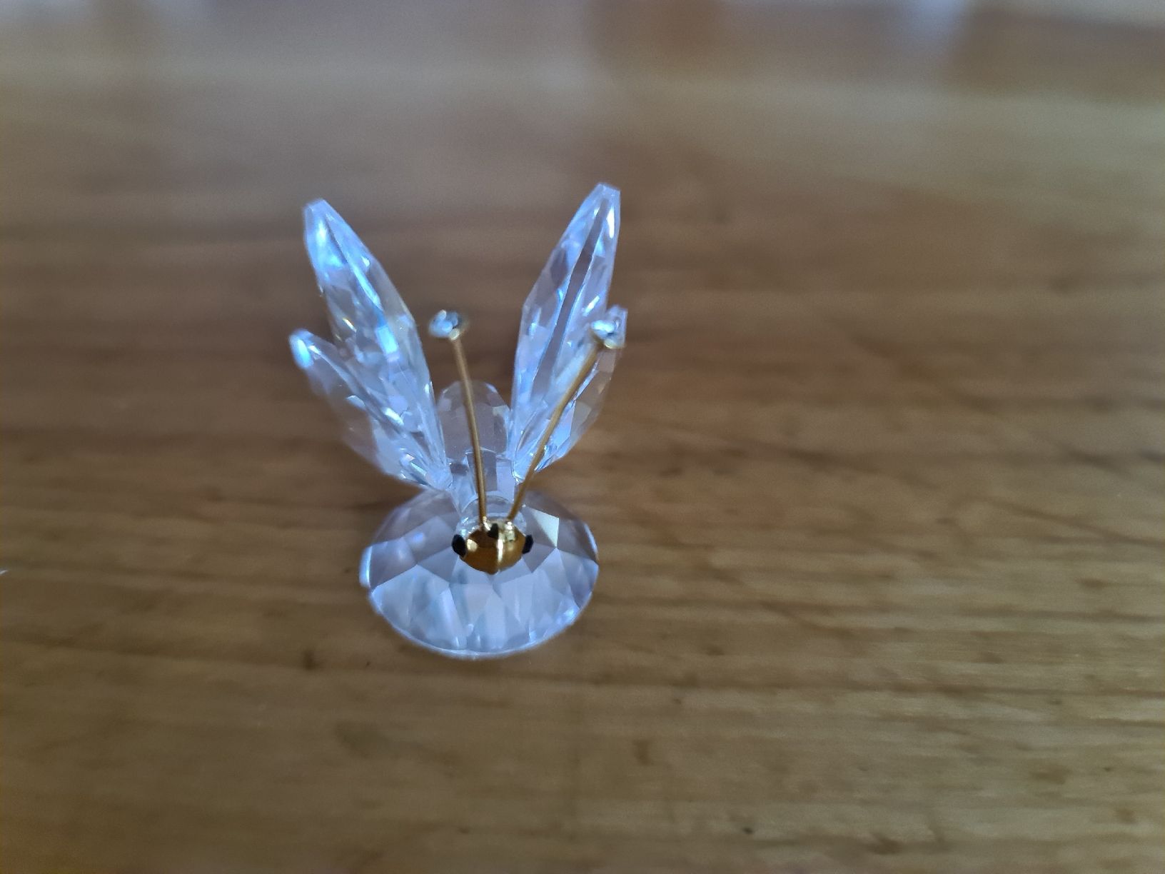 Swarovski Statuette: Swarovski Figur Schmetterling  – Usato da henau venduto da Rockj