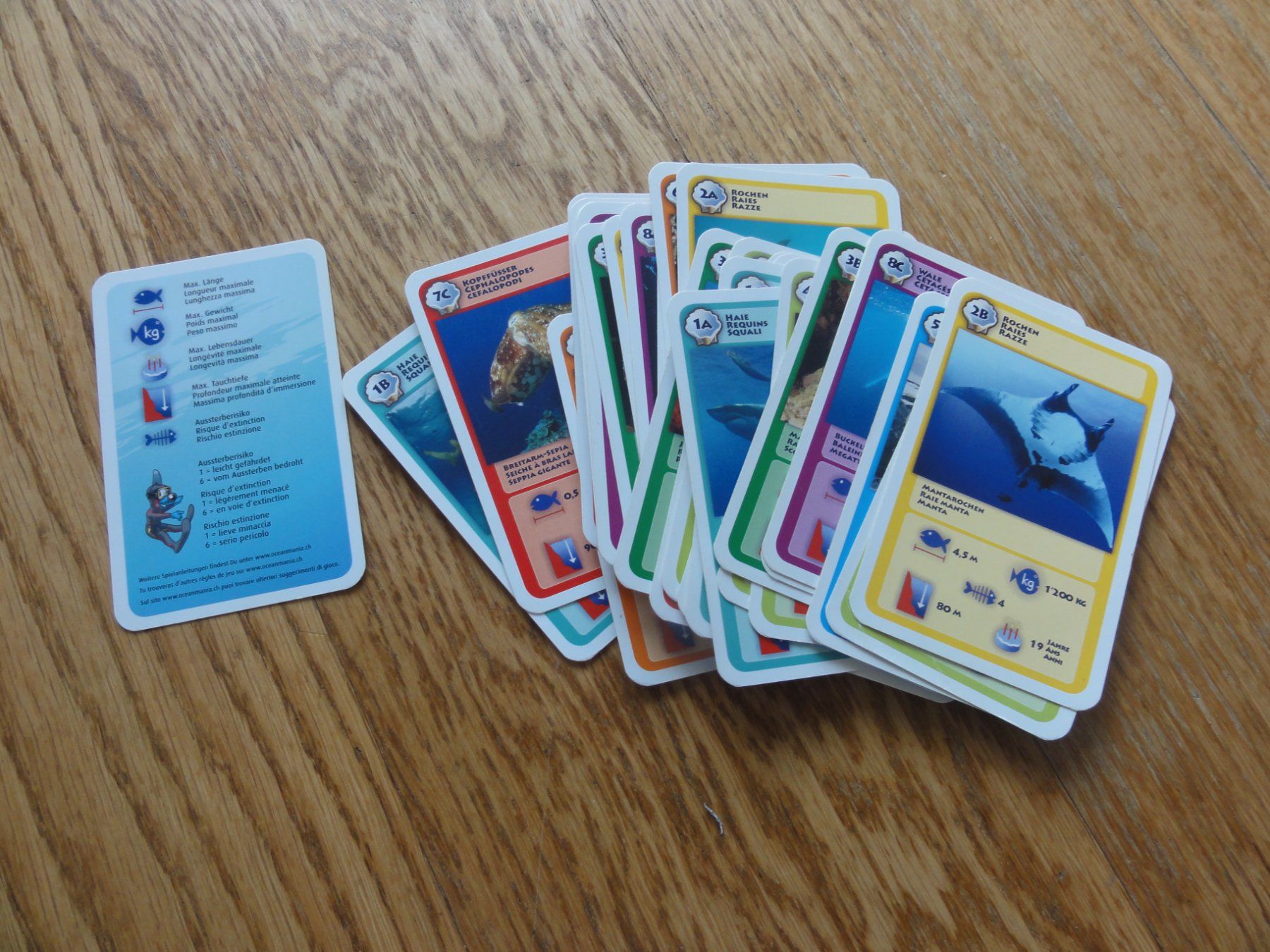 Giochi: Ocean Mania Quartett – Usato da Riedholz venduto da Taweva 1