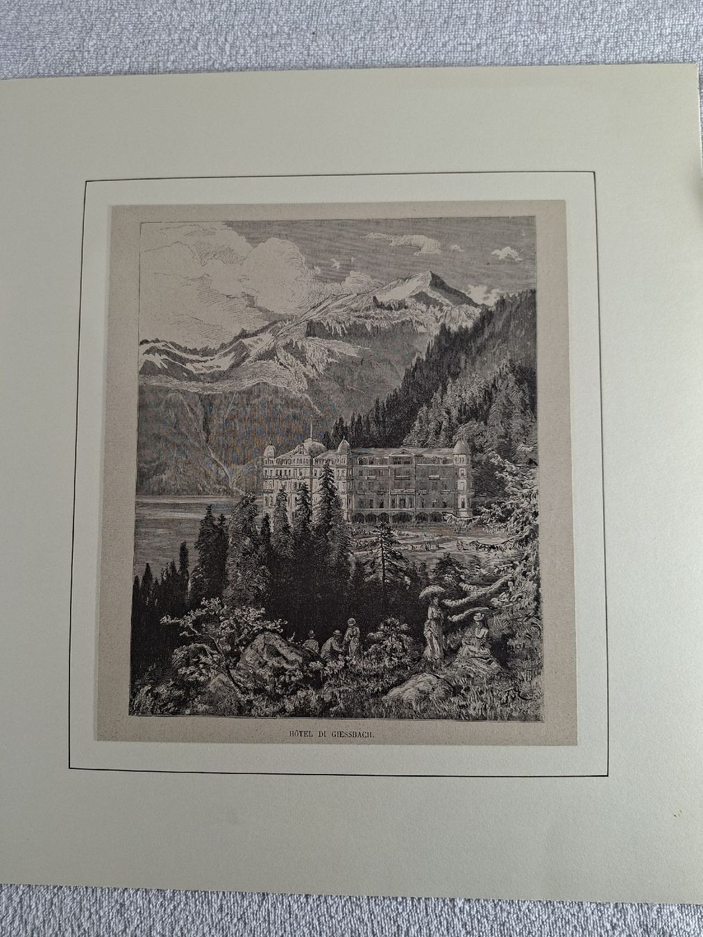 Incisioni: Lot 25, 5 Stiche – Usato da Grindelwald venduto da carro5 6