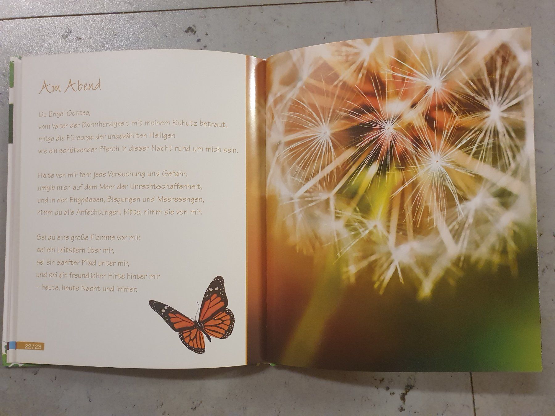 Libri: Ein Engel der Freude begleitet dich – Nuovo (secondo la descrizione) da Moosseedorf venduto da Sonnenschein.. 4