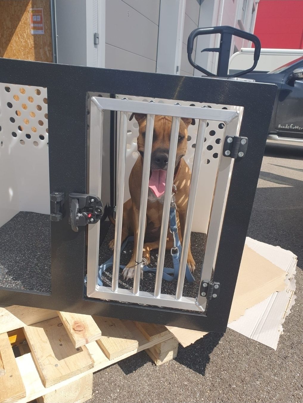 Gabbie, trasporto & Sicurezza: Doppel Hundebox von Osswald-Tec, für 1 oder 2 Hunde geeignet – Usato da Langenthal venduto da solution_8p96 1