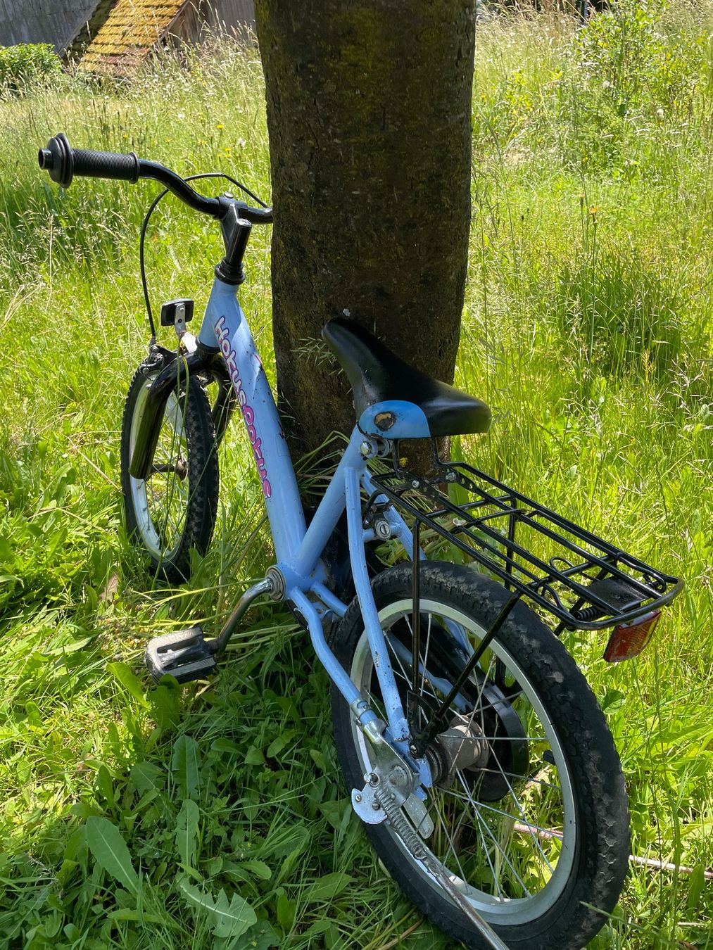 Velos: Kinderfahrrad Hokus Pokus hellblau – Gebraucht aus Kleinwangen von cwy_2l5p 3