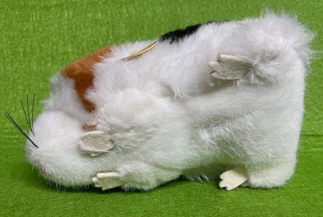 Steiff Giocattoli: Steiff Meerschweinchen – Usato da Oberrieden venduto da Ket25 2