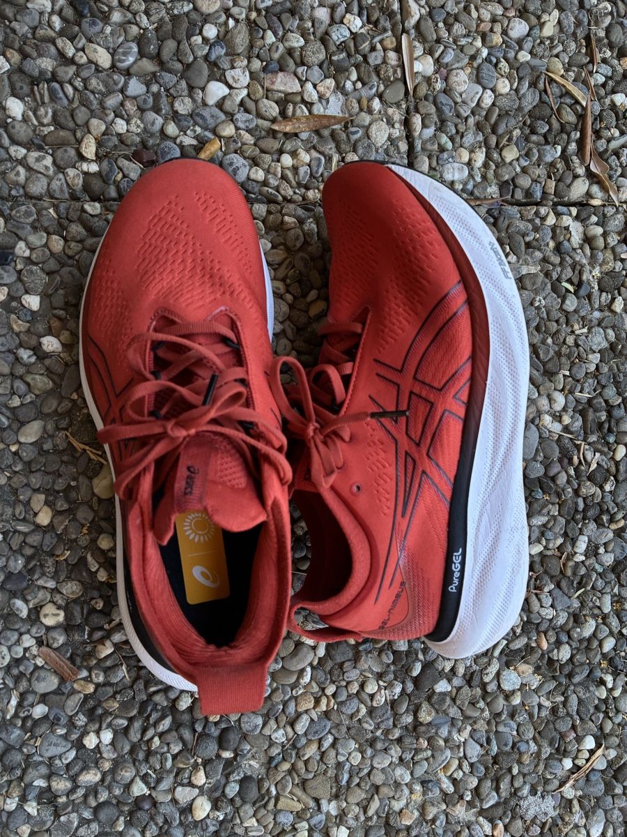 Asics Herrenschuhe: ASICS Gel Nimbus 25 – Gebraucht aus Gerlafingen von karmate 1