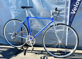 Rennrad Losa blau